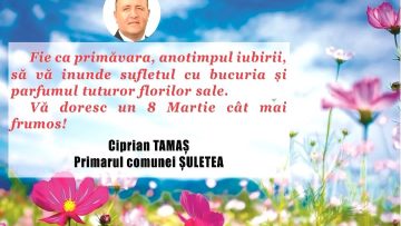 CIPRIAN TAMAȘ.mpg_snapshot_00.00.465