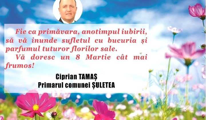 CIPRIAN TAMAȘ.mpg_snapshot_00.00.465