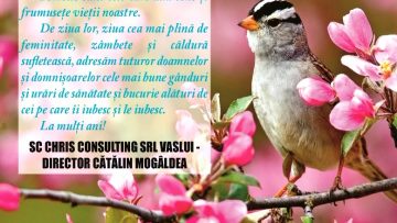 CRIS CONSULTING.mpg_snapshot_00.00.903