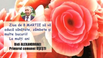 DIDI ALEXANDROAEI.mpg_snapshot_00.00.413