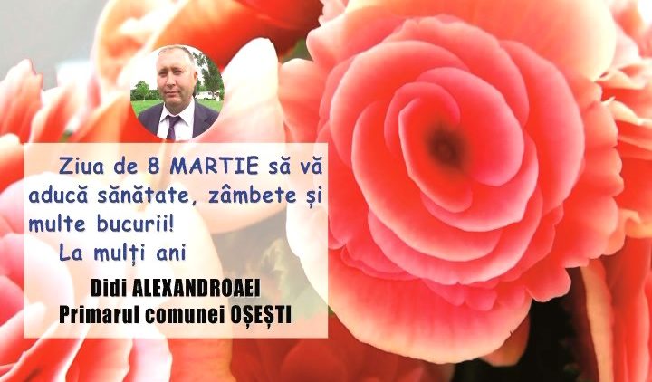 DIDI ALEXANDROAEI.mpg_snapshot_00.00.413