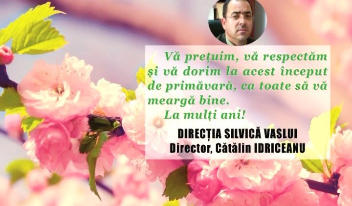 DIRECȚIA SILVICĂ.mpg_snapshot_00.00.489