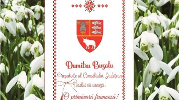 DUMITRU BUZATU.mpg_snapshot_00.00.434