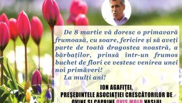 ION AGAFIȚEI.mpg_snapshot_00.00.812