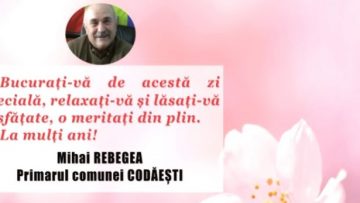 MIHAI REBEGEA.mpg_snapshot_00.01.182