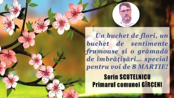 SORIN SCUTELNICU.mpg_snapshot_00.00.607