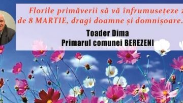 TOADER DIMA.mpg_snapshot_00.00.561