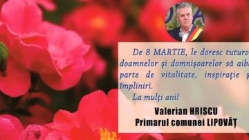 VALERIAN HRISCU.mpg_snapshot_00.00.637