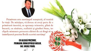 VASILE PAVĂL.mpg_snapshot_00.00.494