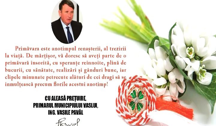 VASILE PAVĂL.mpg_snapshot_00.00.494