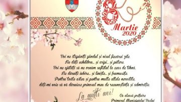 VASILE PAVĂL.mpg_snapshot_00.00.667