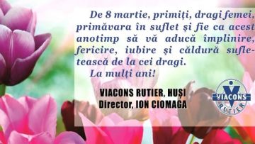 VIACONS RUTIER.mpg_snapshot_00.00.493