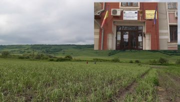 foto cultura usturoi.00_00_00_00.Still001