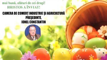 CAMERA DE COMERT.mpg_snapshot_00.00.361