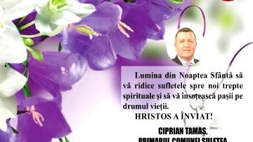 CIPRIAN TAMAS.mpg_snapshot_00.01.431