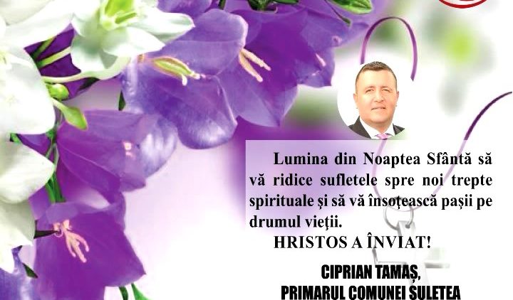 CIPRIAN TAMAS.mpg_snapshot_00.01.431