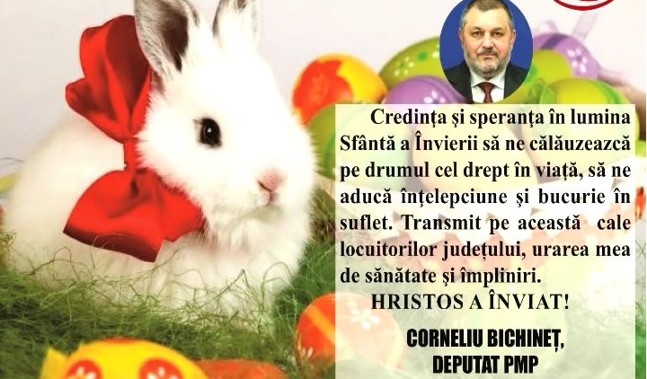 CORNELIU BICHINET.mpg_snapshot_00.00.498