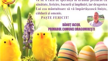 DANUT IACOB.mpg_snapshot_00.00.265