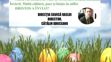 DIRECTIA SILVICA.mpg_snapshot_00.00.985