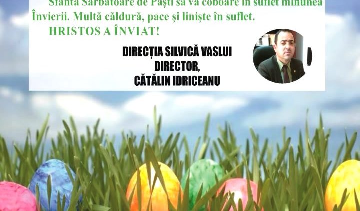 DIRECTIA SILVICA.mpg_snapshot_00.00.985