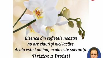 Daniel Olteanu.mpg_snapshot_00.00.498