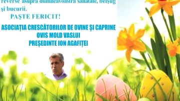 ION AGAFITEI.mpg_snapshot_00.00.805