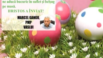 MARICEL GANGU PMP VASLUI.mpg_snapshot_00.00.459