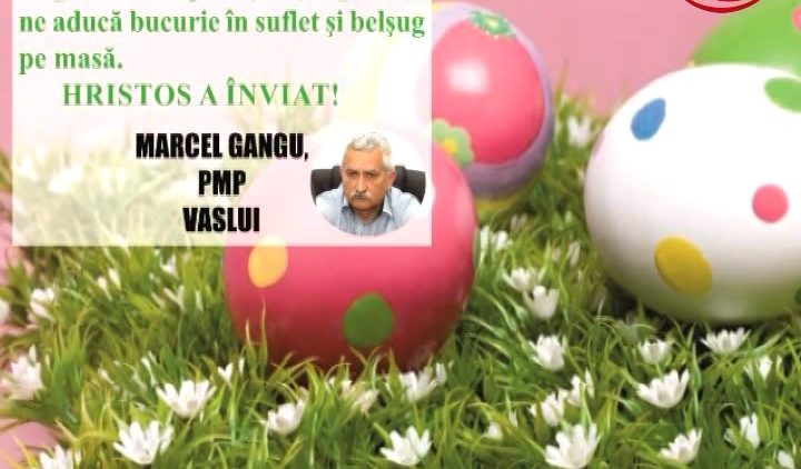 MARICEL GANGU PMP VASLUI.mpg_snapshot_00.00.459