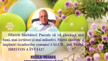 NECULAI MORARU.mpg_snapshot_00.00.510