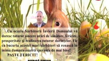 PETRICA SIMIUC.mpg_snapshot_00.01.212