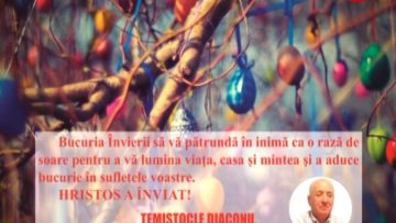 TEMISTOCLE DIACONU.mpg_snapshot_00.00.667