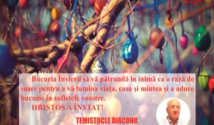 TEMISTOCLE DIACONU.mpg_snapshot_00.00.667