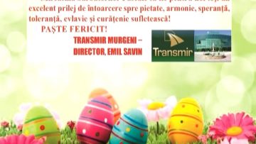 TRANSMIR MURGENI.mpg_snapshot_00.00.546