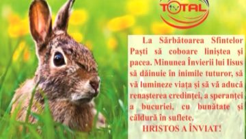 TV TOTAL.mpg_snapshot_00.00.458