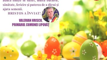 VALERIAN HRISCU.mpg_snapshot_00.00.676