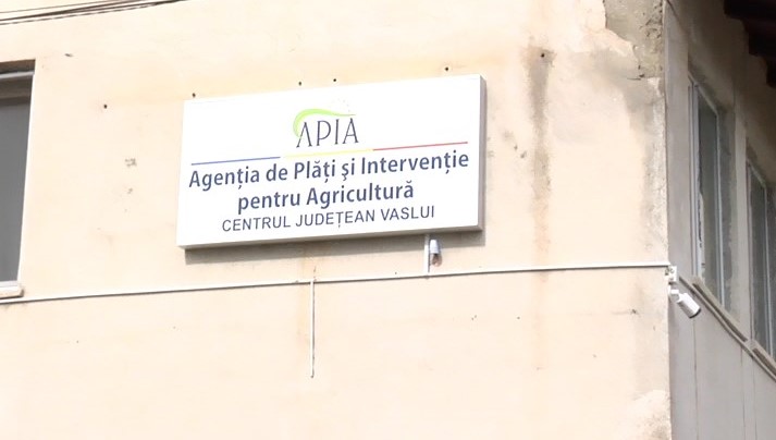 apia