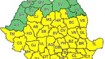 WhatsApp Image 2020-05-19 at 14.16.14