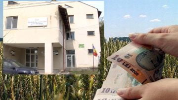 apia.00_00_00_00.Still001