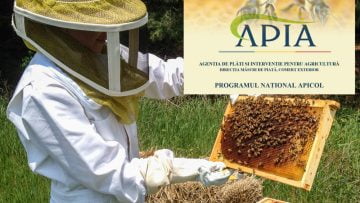 programul apicol