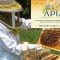 Programul Național Apicol: Ajutor pentru apicultorii vasluieni!