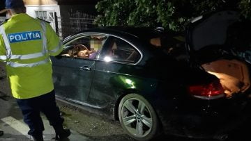 f4d1d750-df58-448d-b8a4-b4c7186cd3be