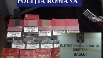 ipj vaslui.00_00_00_00.Still001