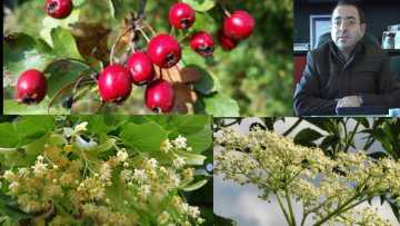 a .00_00_00_00.Still001