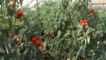 0307EP.MXF_snapshot_00.23.926