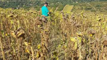 WhatsApp-Image-2020-08-08-at-14.50.41