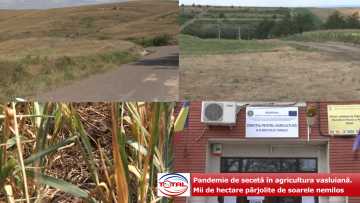 a .00_00_00_00.Still001