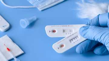 dreamstime_m_183583350-scaled