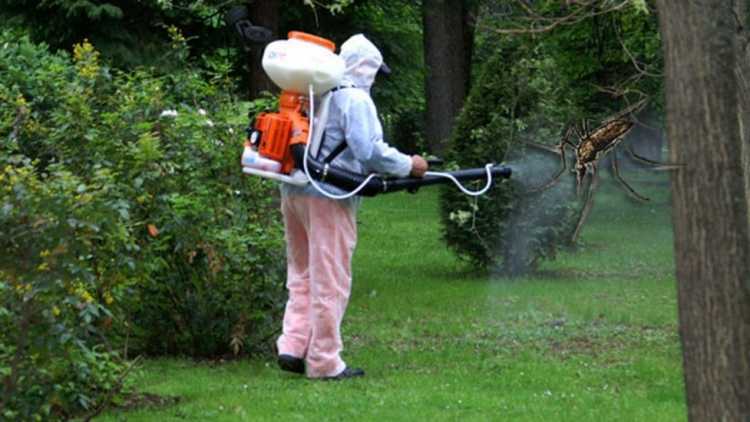 dz