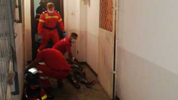 WhatsApp-Image-2020-09-14-at-12.48.18