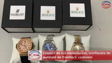 029_0172_01.00_00_56_17.Still001